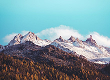 世界杯客户端升级下载-【欧洲杯】飞翼连场破门+造点 荷兰2比0奥地利出线